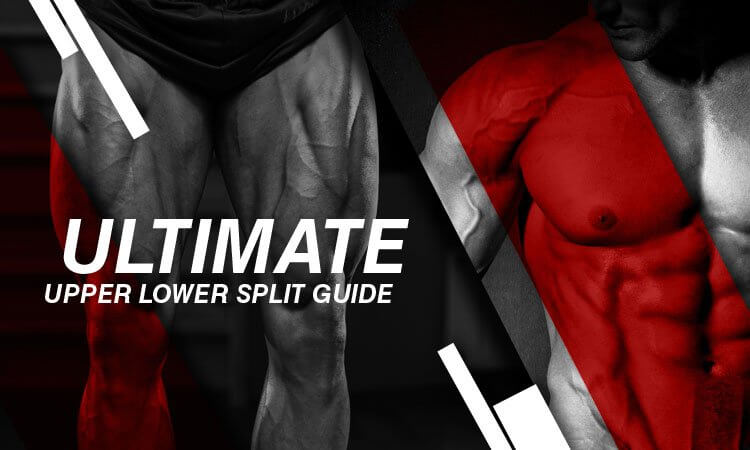 Bodybuilding routine – Upper Lower Split