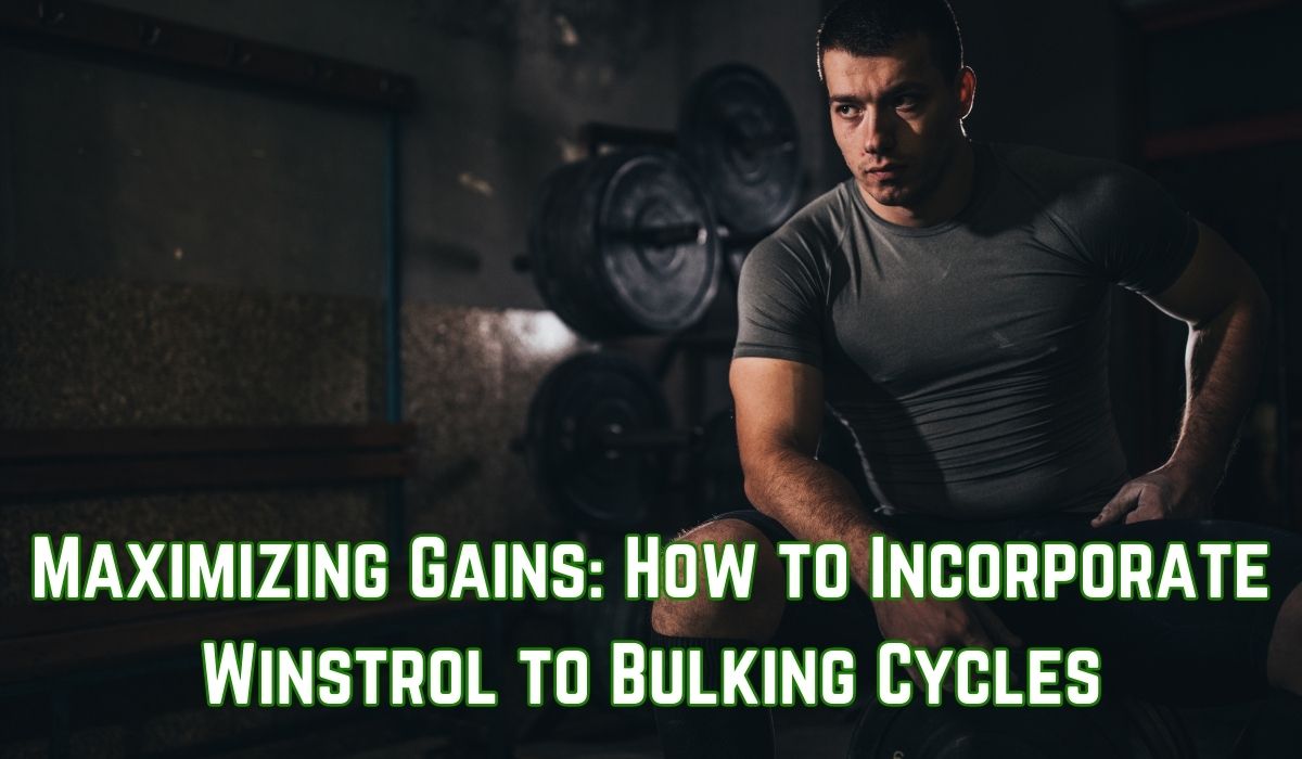 Maximizing Gains: How to Incorporate Winstrol to Bulking Cycles