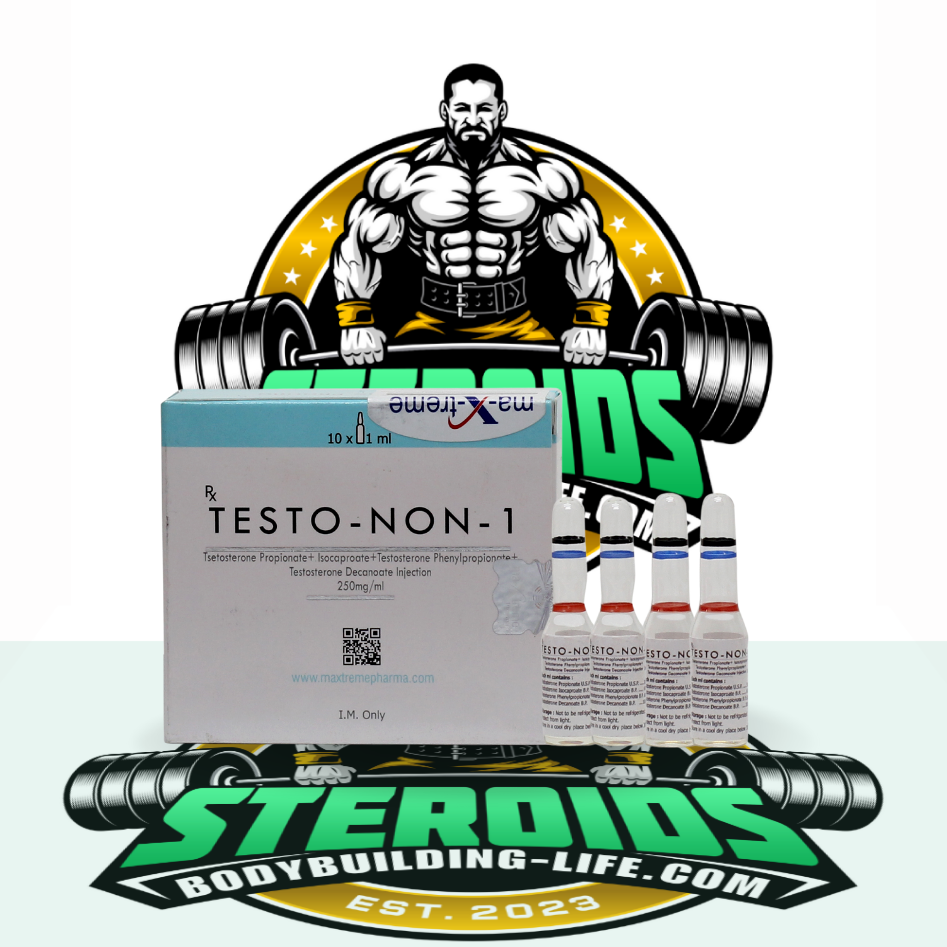 Testo-Non-1